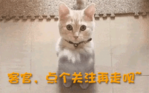 中产当韭菜、玩套路！撕开双11的遮羞布j9九游会入口曾破万亿大关！现被曝将(图19)
