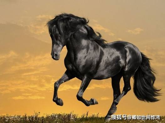5乙巳年生肖马九大运势全解析九游会真人游戏第一品牌202(图8)